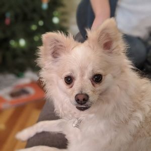 Meet your Posher, Karyn